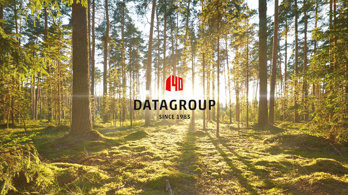 Het DATAGROUP-logo met een “40” en de tekst “Since 1983” schijnt door een helder verlicht bos bij zonsondergang